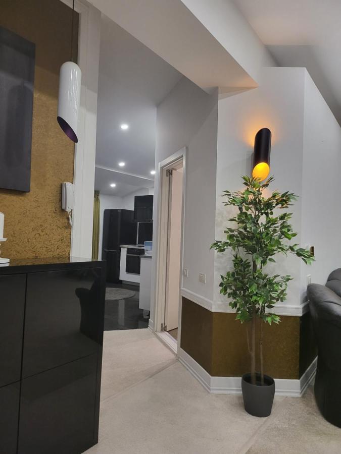 Large Luxury Apartment - Penthouse - Terrace Бухарест Екстер'єр фото