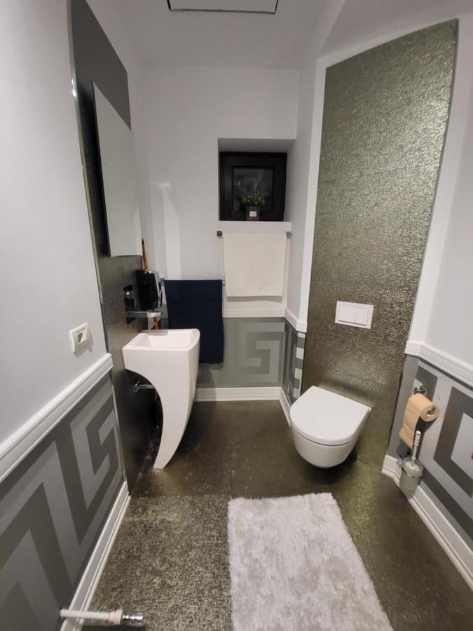 Large Luxury Apartment - Penthouse - Terrace Бухарест Екстер'єр фото